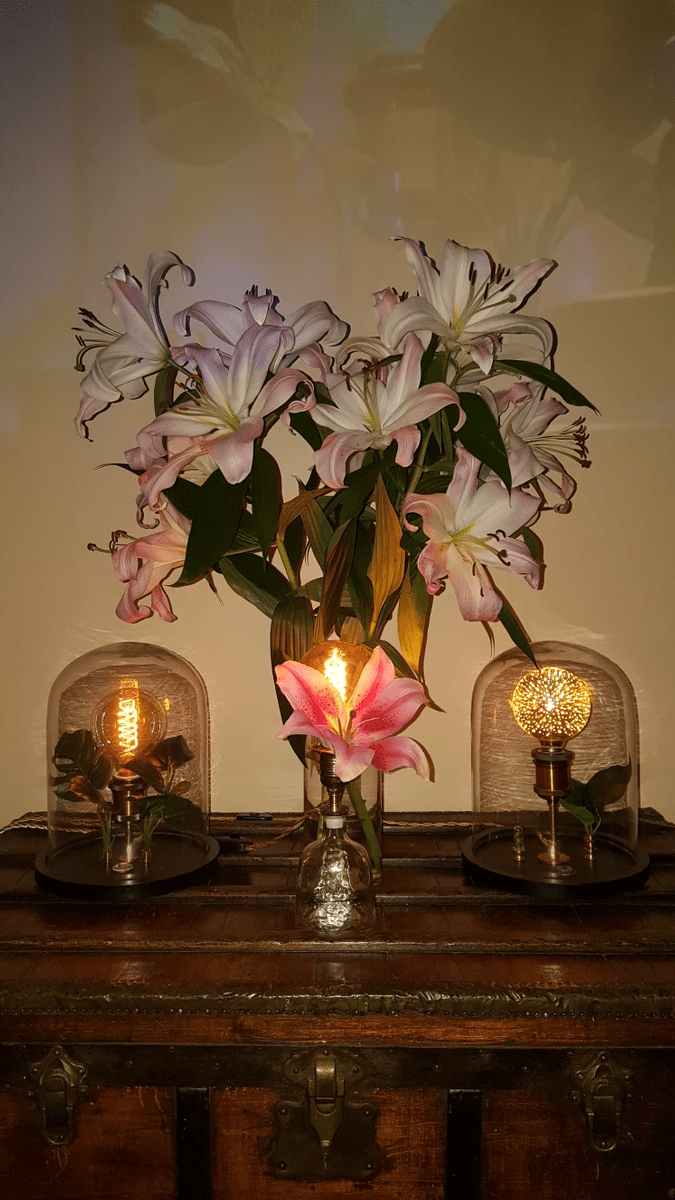 Lady Ada lamp detail